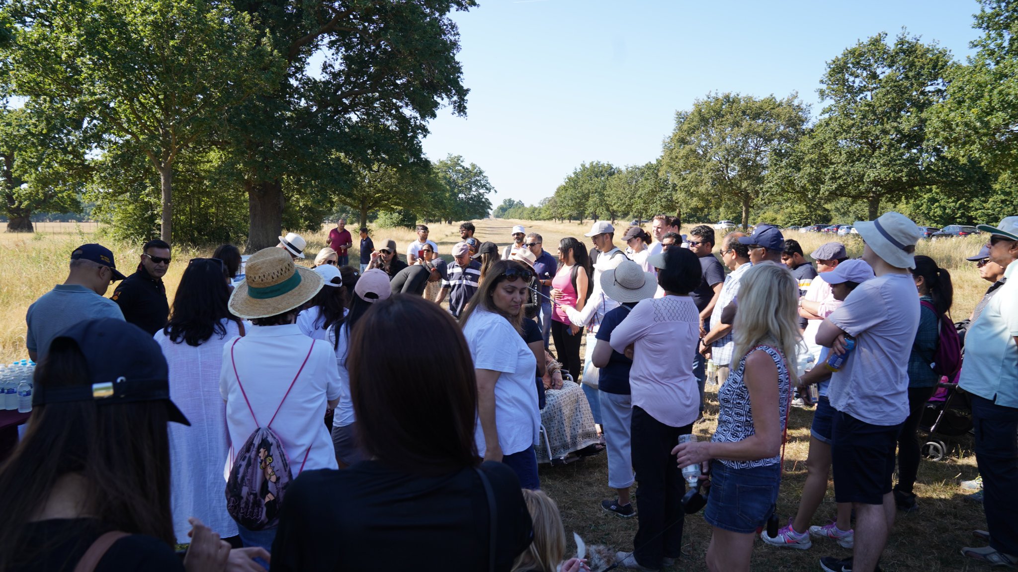 charity-walk-haven-2022-11